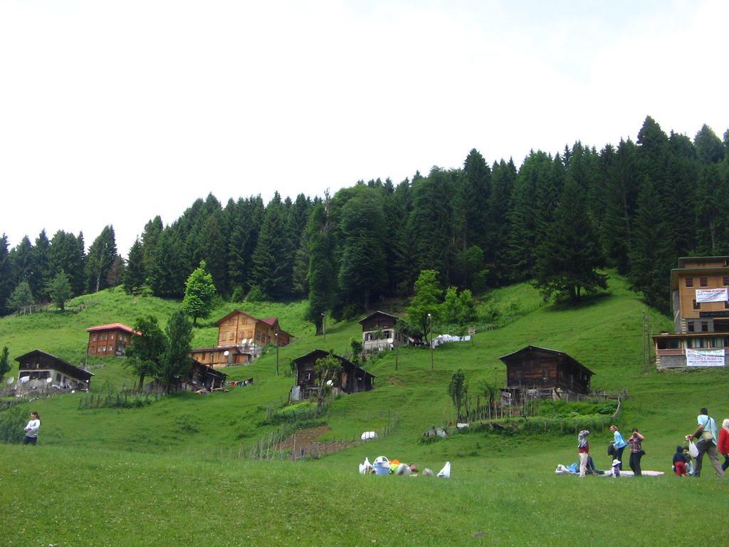 Ayder Resort Hotel 里泽 外观 照片