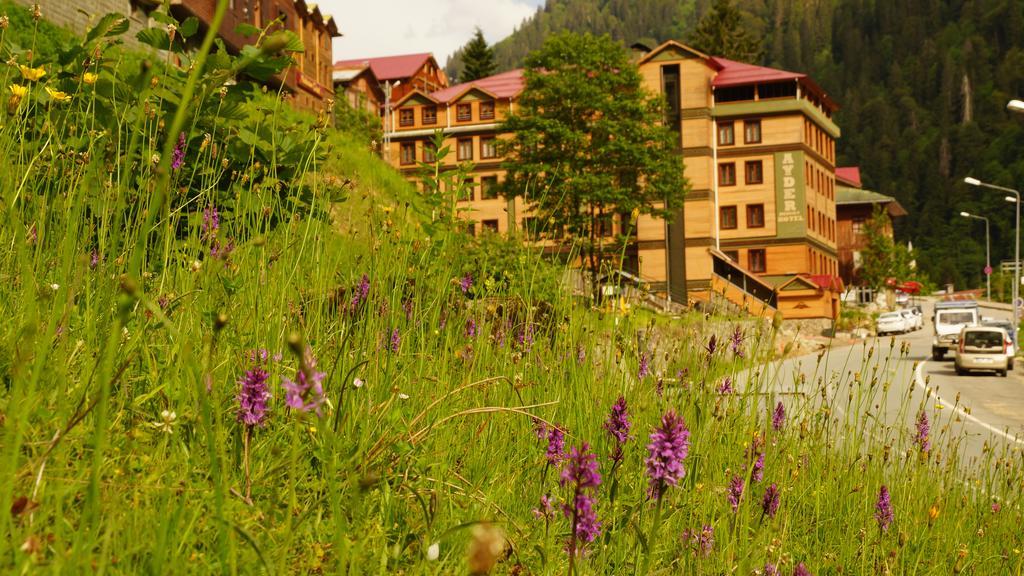 Ayder Resort Hotel 里泽 外观 照片
