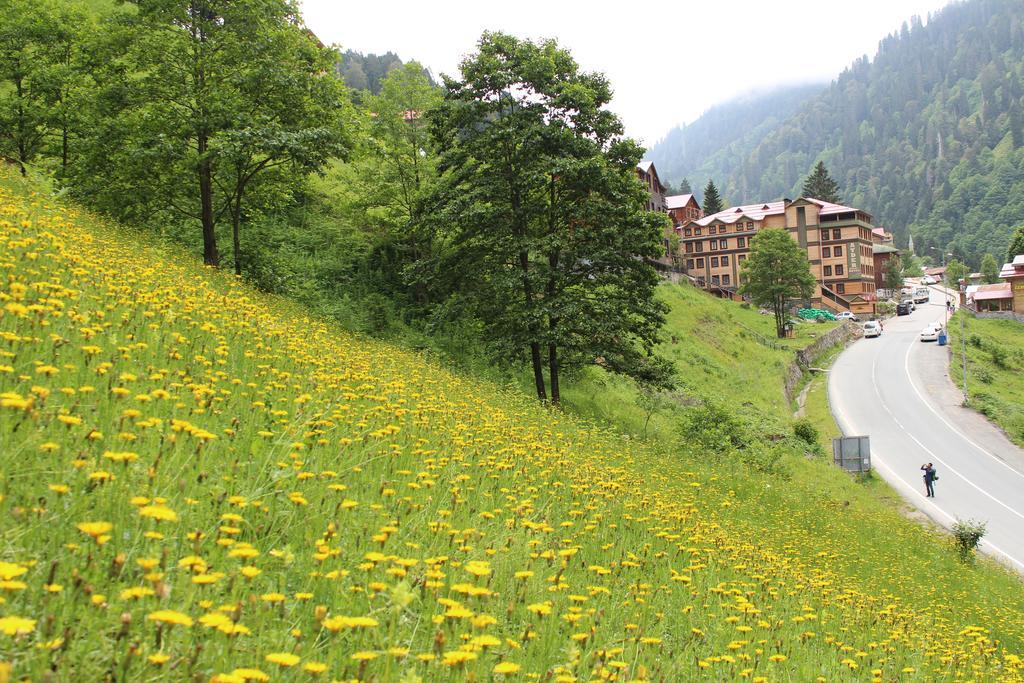 Ayder Resort Hotel 里泽 外观 照片